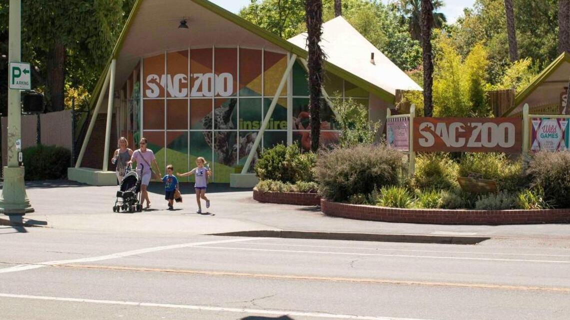 New features at Sacramento Zoo welcome visitors with autism, dementia, PTSD and more