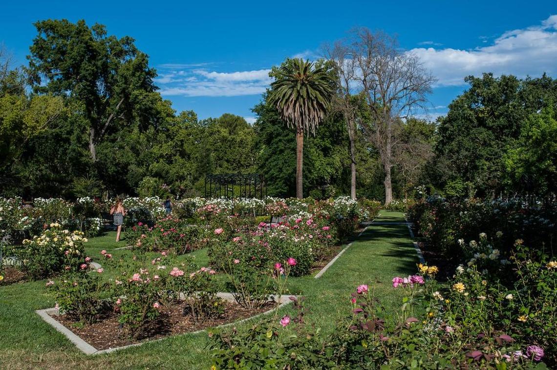 McKinley Park, photographed in 2016, features Clunie Community Center, a rose garden, seasonal pool, pond, playgrounds, picnic areas, baseball diamond, tennis courts and trails.