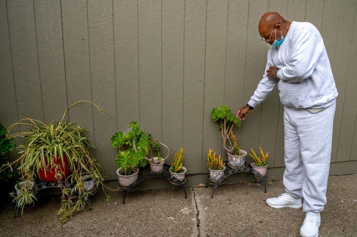 Quinton Watts gently touches the leaves of a succulent plant on the side of the house where his children live in Stockton on Wednesday, Feb. 3, 2021. Earlier he expressed how grateful he was to be out of the prison compound.