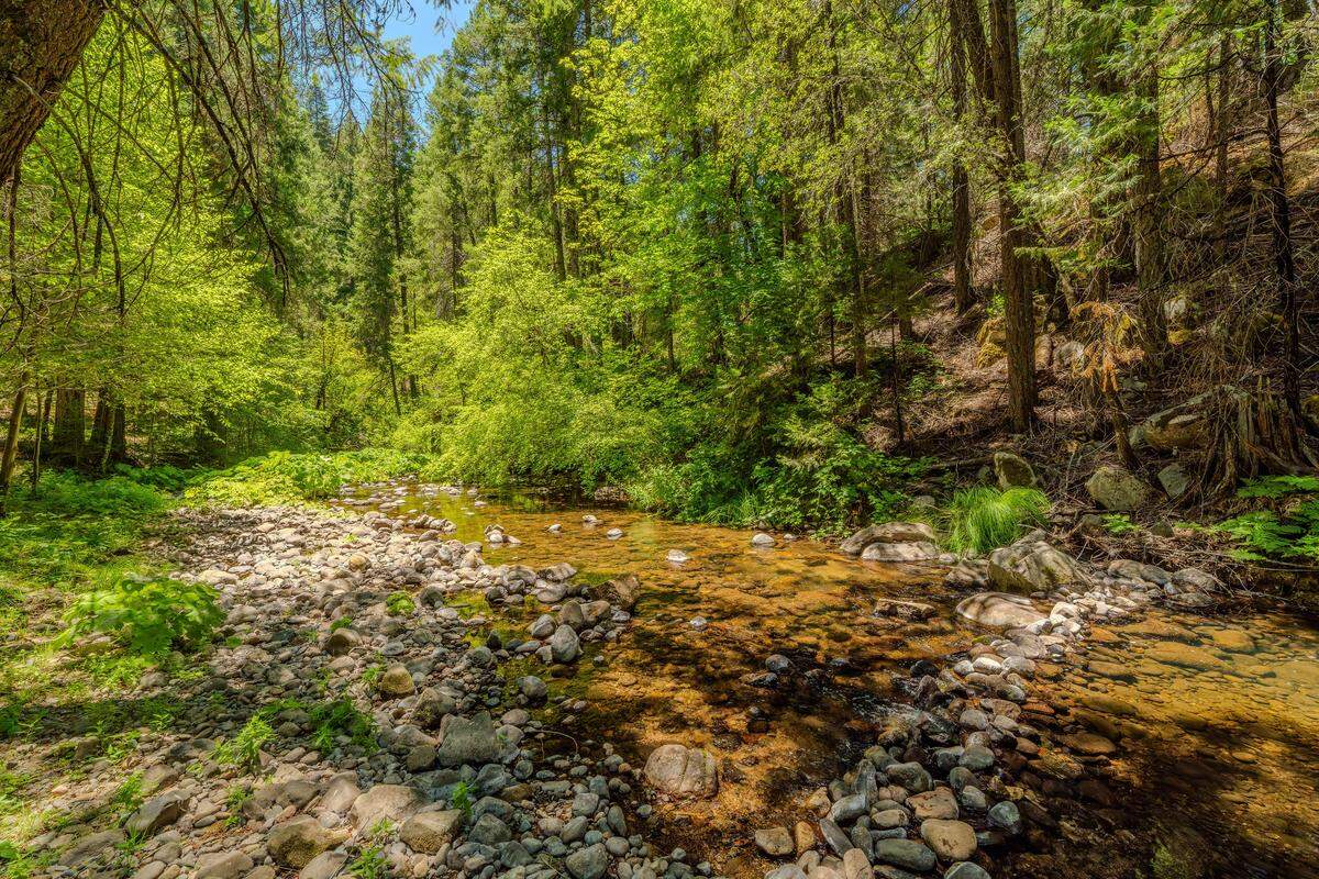 A 232-acre Schaad Ranch in Wilseyville bridges pioneer history and off-grid living with riverfront, trails, modern solar home and development potential.