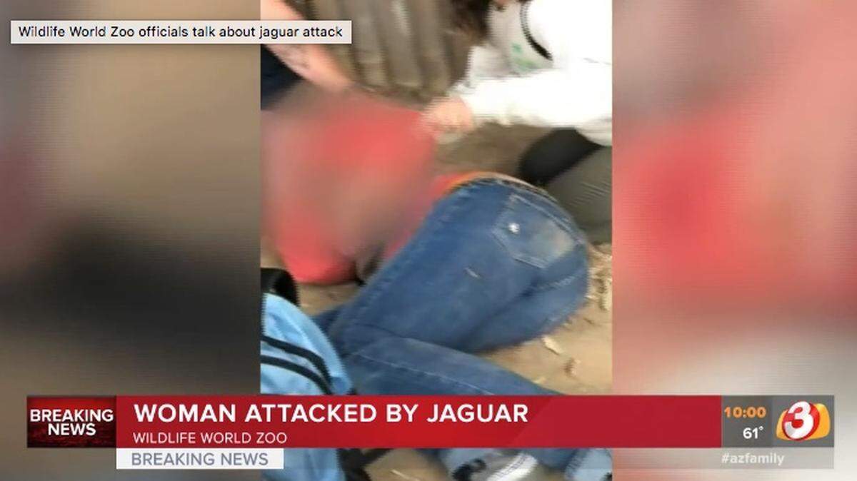 A jaguar at Wildlife World Zoo, Aquarium and Safari Park in Litchfield Park, Arizona, clawed a woman Saturday evening just outside a fenced enclosure after she crossed a barrier for a selfie, officials say.