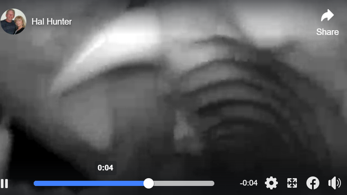 A black bear was captured on video biting and chewing on a trail camera in California.