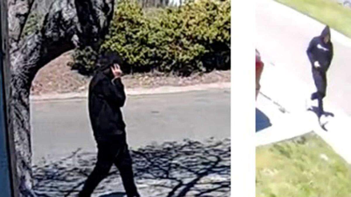U.S. Postal Inspection Service agents are searching for a man wanted in connection with the March 27, 2023, robbery of a postal carrier. The robber took the carrier’s cellphone and keys along Oberon Avenue in North Highlands.