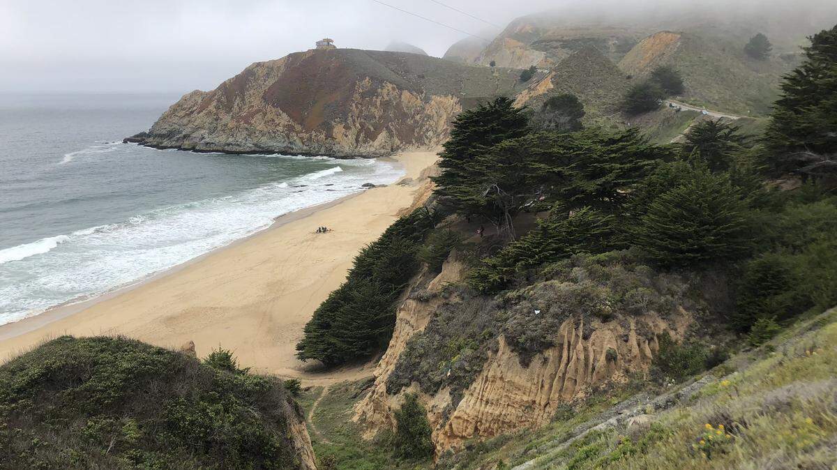 A great white shark bit a 39-year-old man surfing at Gray Whale Cove State Beach on the leg Saturday morning, California officials say.