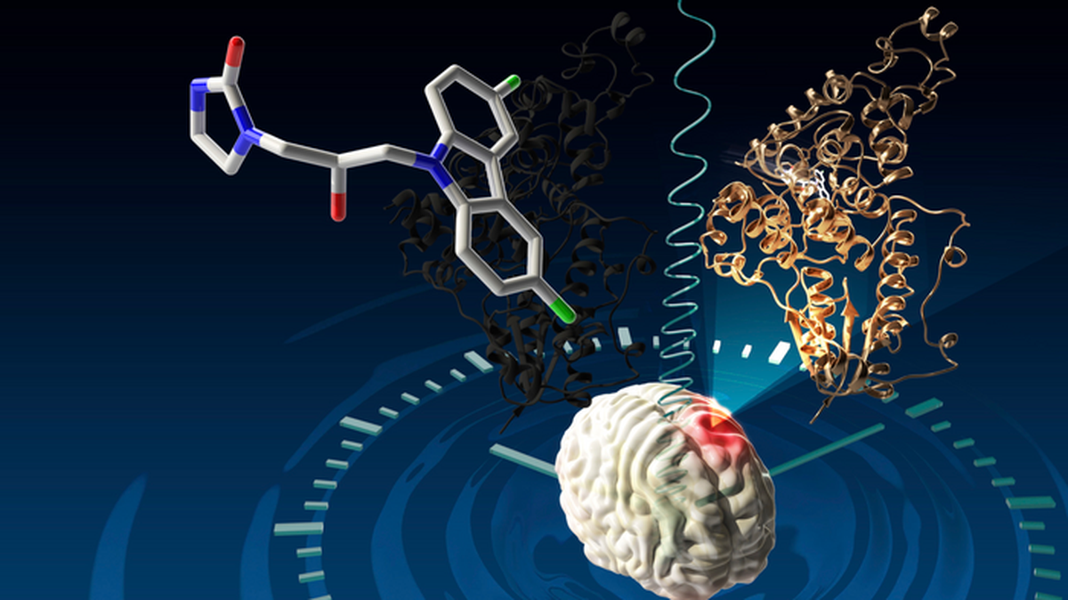 A new type of small molecule drug, the first to target circadian clock proteins as a way to treat glioblastoma, is now in phase 1 clinical trials.