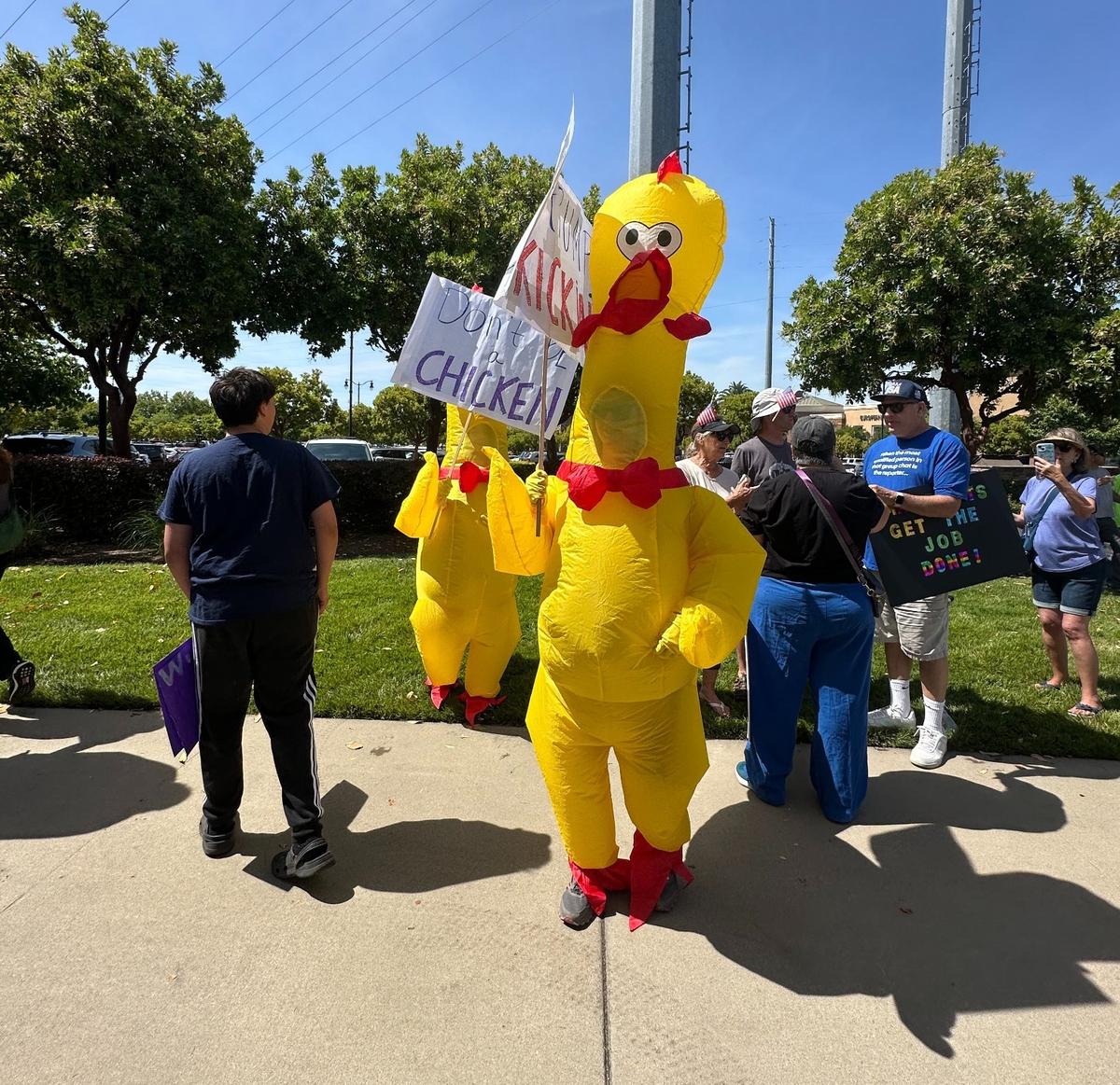A protester in a chicken costume at Roseville’s “No Kings” rally on June 14.