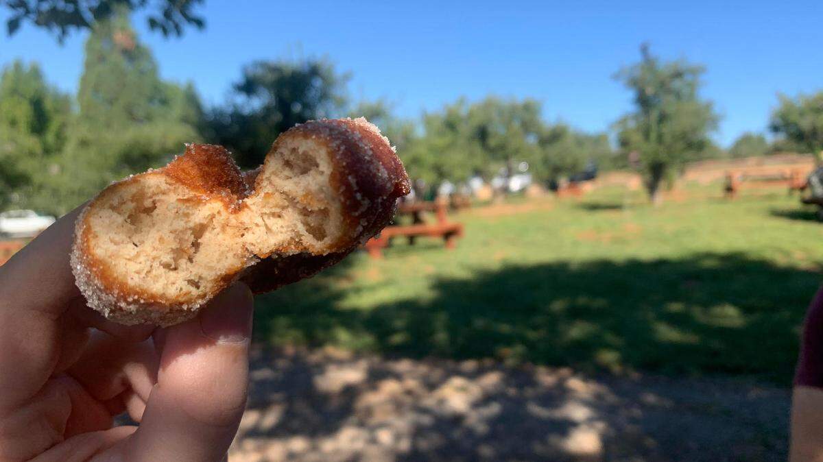 A hot apple cider doughnut from Rainbow Orchards on Apple Hill near Camino on Saturday.
