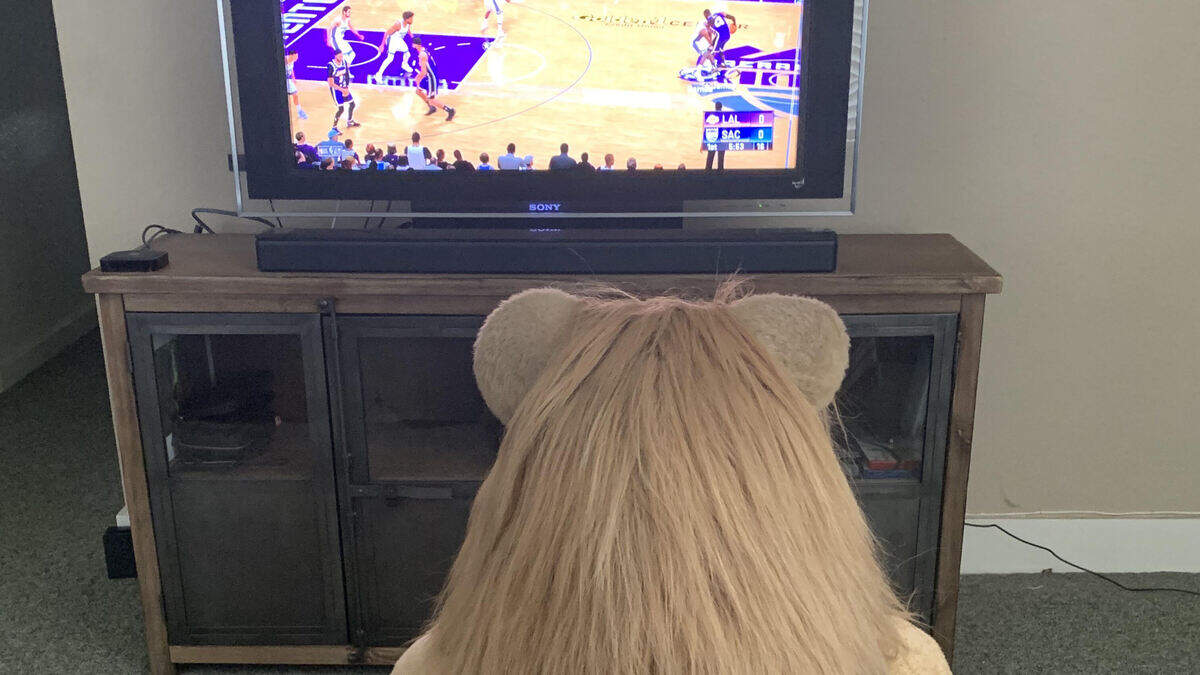 Kings mascot Slamson remembers the good-old days at Golden 1 Center while hanging out at home.