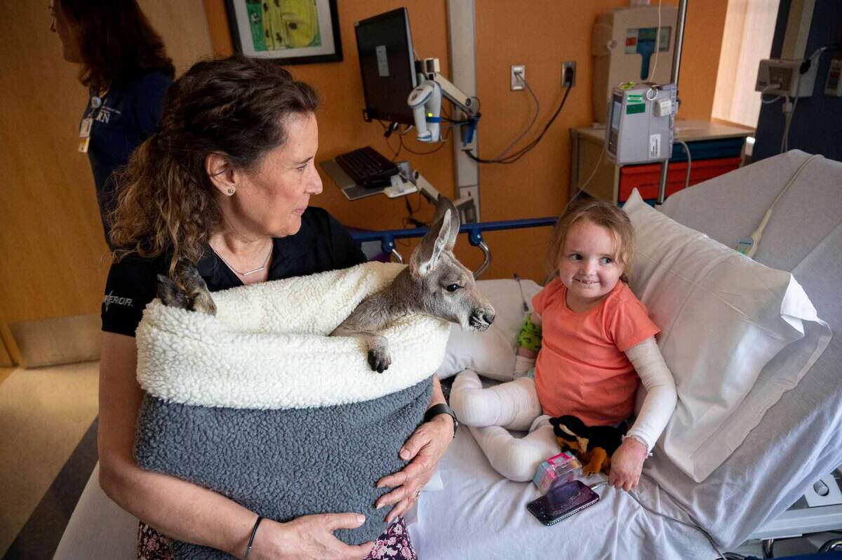 Corrine Brindley, left, an animal handler with SeaWorld San Diego, sits on Kiira Kinkle’s hospital bed and she holds a kangaroo named Fuzz Bucket in a basket for young patients at Sutter Medical Center in Sacramento on Wednesday. The visit was part of SeaWorld’s effort to educate children about wildlife conservation with rescued animals.