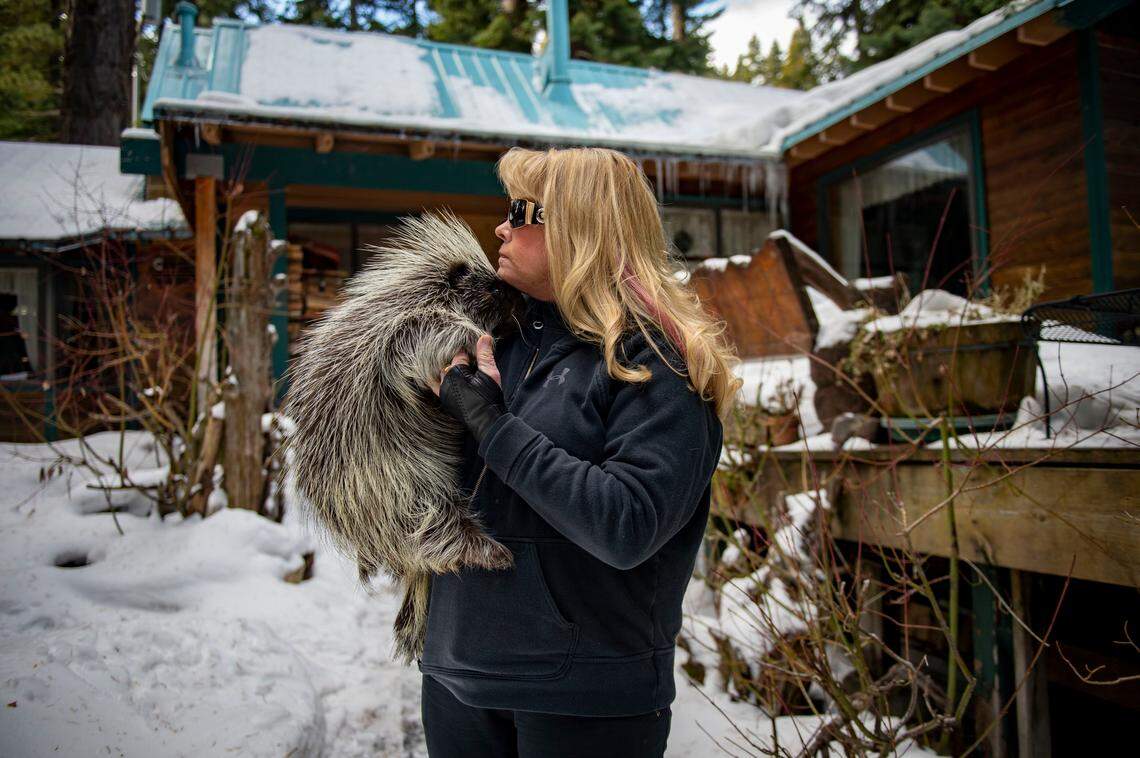 Ann Bryant, founder of the Tahoe-based Bear League, holds her pet porcupine Maude in front of her home in 2019.