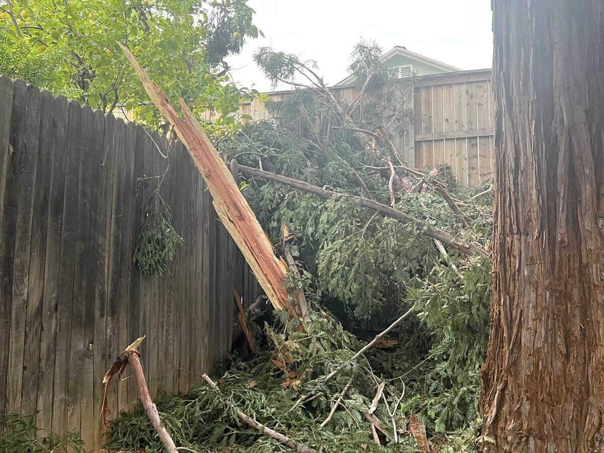 Large splinters of wood fell within a five-house radius, according to residents of a Folsom neighborhood in which lightning exploded a redwood tree during a Sacramento region storm on Tuesday, May 2, 2023. Residents estimate the tree lost roughly 30 feet when the bolt struck.
