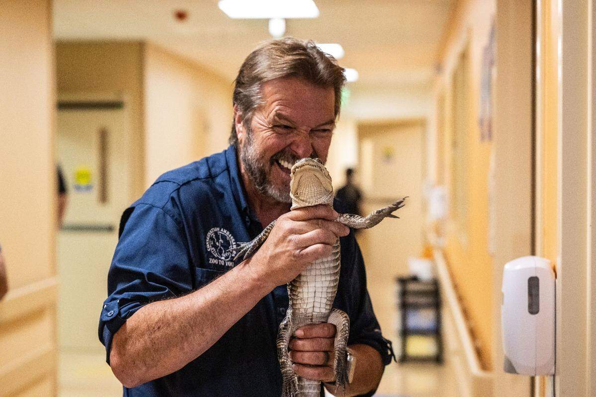A young alligator held by handler David Jackson “waves” to a patient at Sutter Hospital in midtown Sacramento on Thursday. The event was part of the SeaWorld education and conservation program.