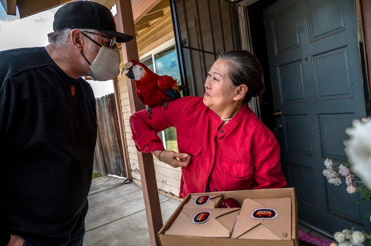 Sacramento Bee columnist Marcos Bretón gets a kiss through his facemask from ‘Candy’ a macaw owned by Saythong Chareunsouk, 68, May 20, 2020, while delivering food for Great Plates Delivered during the coronavirus pandemic.