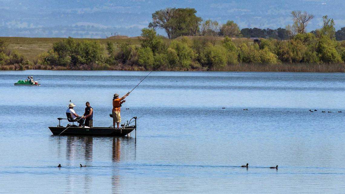 Rancho Seco Lake limits boats to stop golden mussel spread | Sacramento Bee