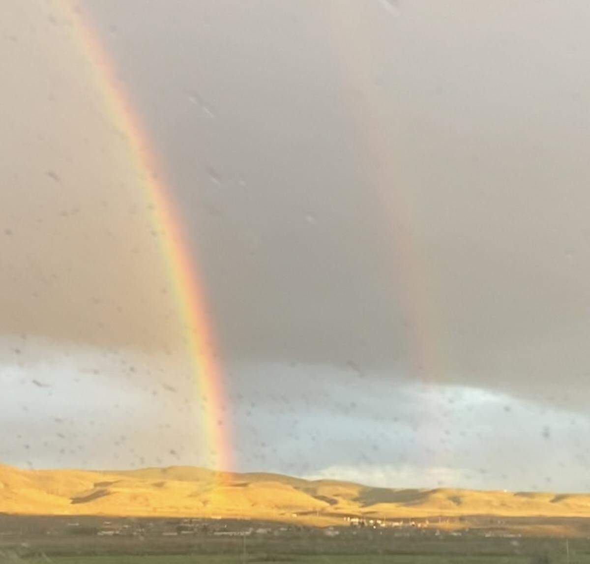 On the drive back, the Anguianos spotted a double rainbow, which they took to be a sign to be Rayne Beau’s eventual return.