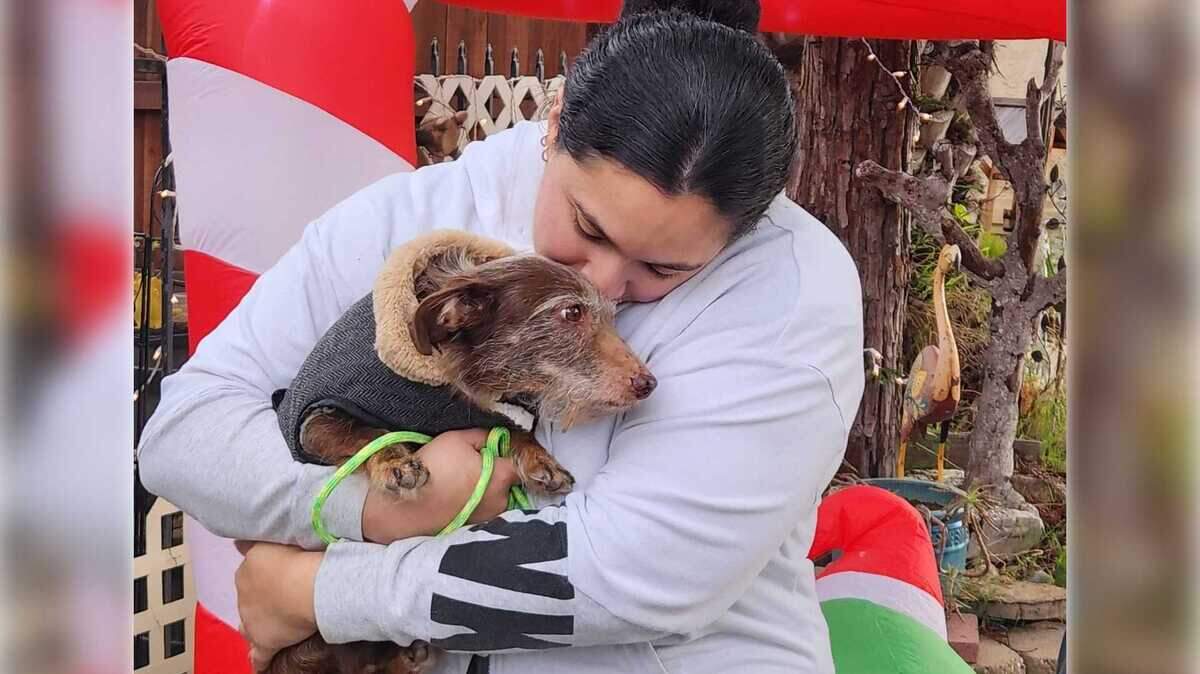 Patricia Orozco sits with Choco nearly five years after he vanished from her yard in May 2021. Choco was found in Lincoln, Mich., about 2,300 miles from home, and was flown back with the help of rescue volunteers and donations.