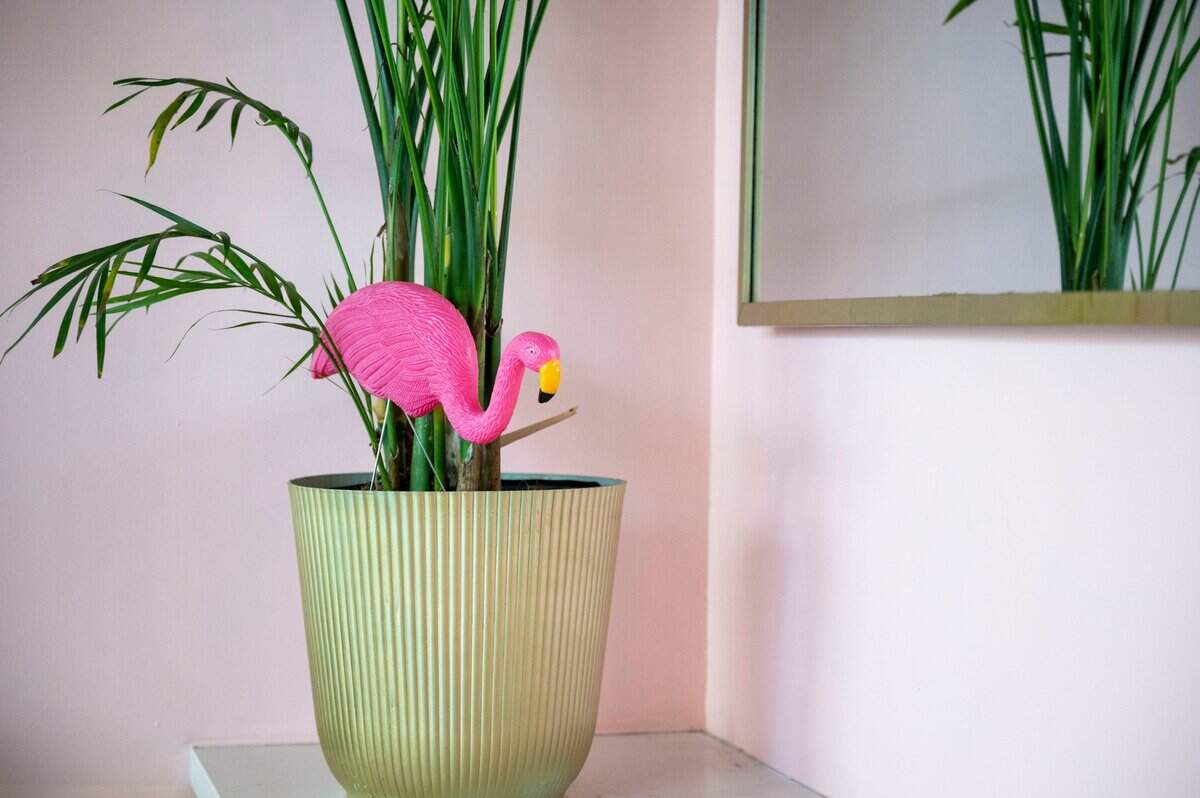 Cabana Club in Downtown Commons offers a fun ambiance filled with bright colors and Palm Springs-inspired decor.