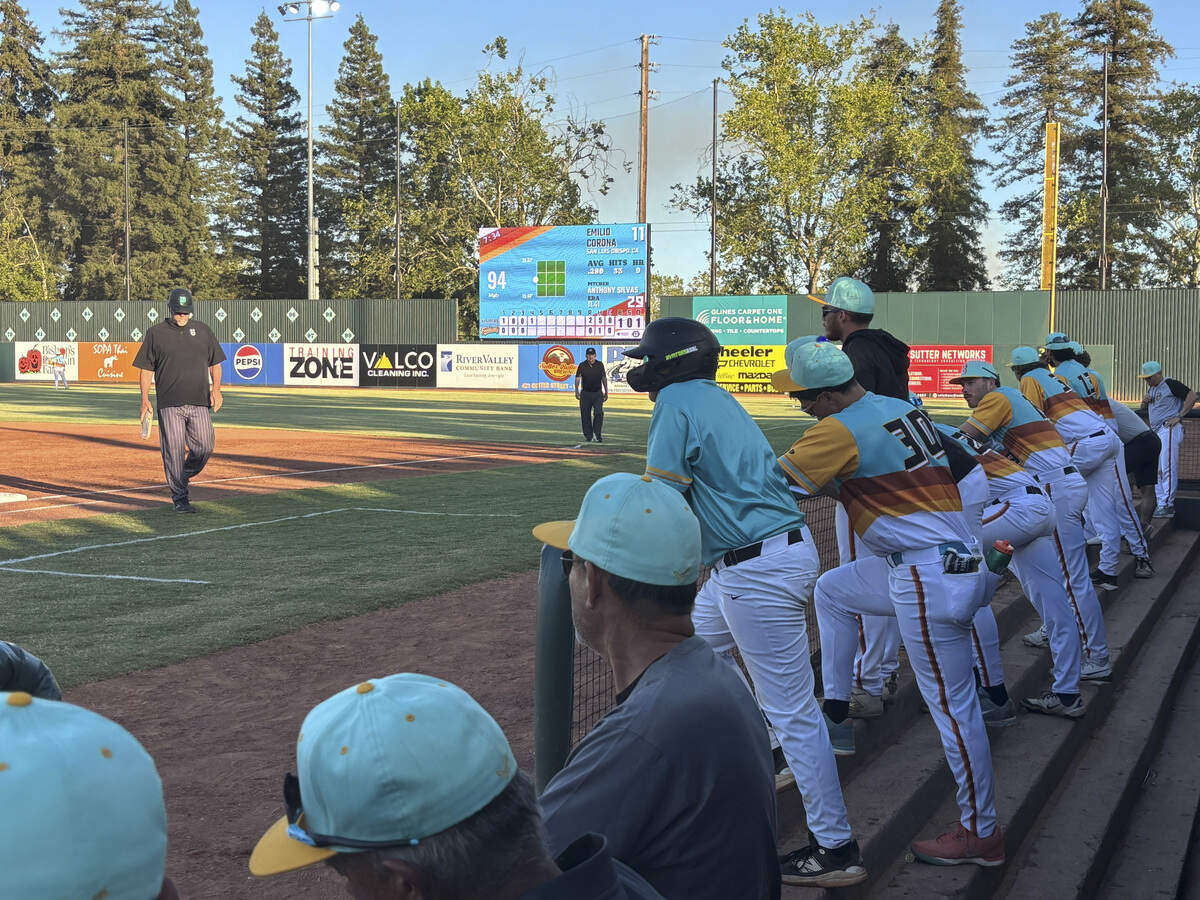 The Freebirds watch from the dugout during a game at Bryant Field in Marysville on Tuesday, June 23, 2026. The Freebirds are offering deals on beer, tickets and hot dogs, every Tuesday.