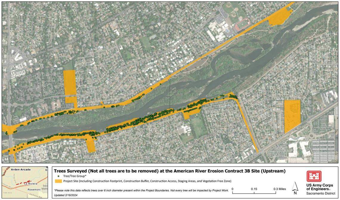 A diagram from the U.S. Army Corps of Engineers shows surveyed trees upstream of the “Contract 3B” portion of a levee improvement project on the American River. The corps says not all trees would be removed.