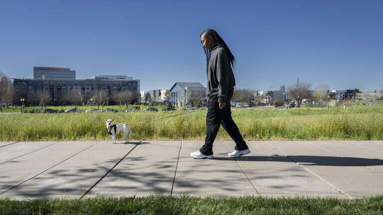 When is it too hot to walk your dog? What to know as California heat wave hits