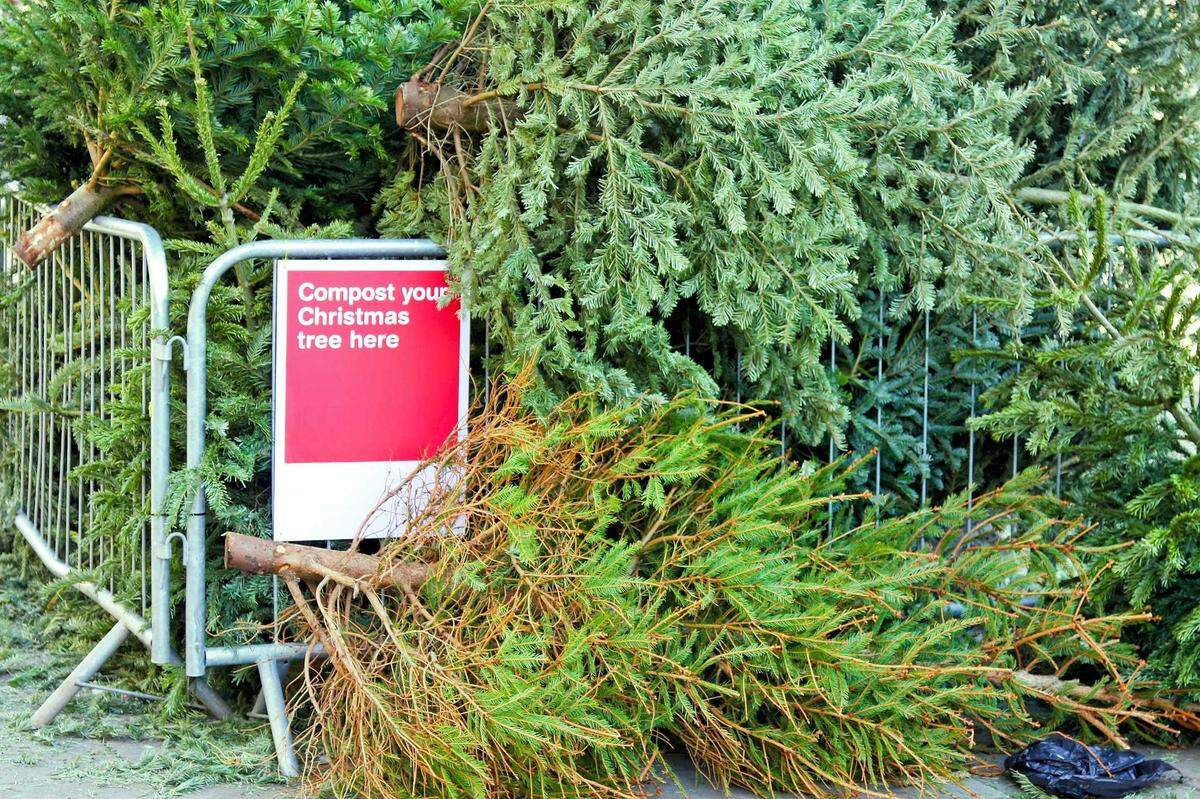 Residents in the Sacramento region have several options for getting rid of their old Christmas trees.