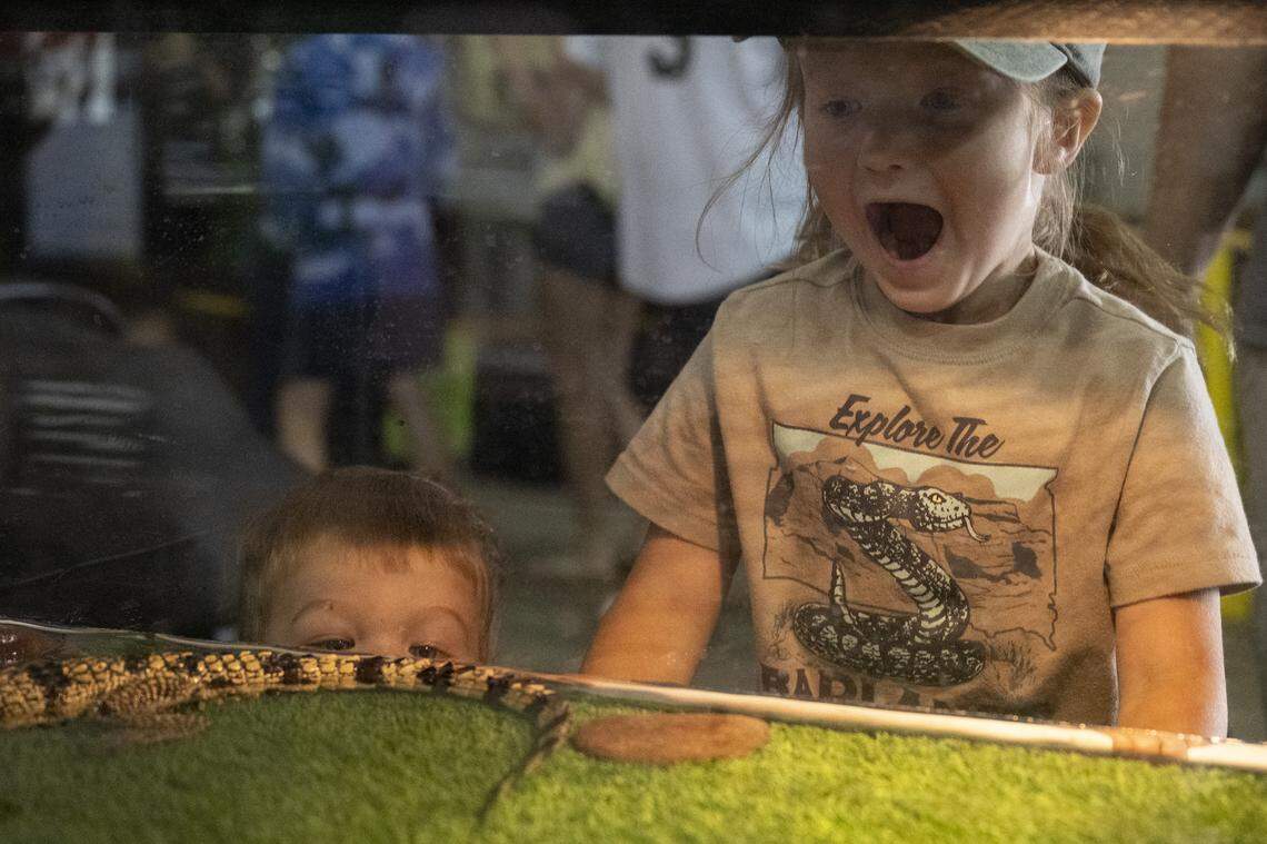 Rori Emerson, 4, and her brother Fletcher Emerson, 2, left, excitedly look at a reptile in a tank during the Sacramento Reptile Show at Cal Expo in Sacramento on Sunday, April 19, 2026.