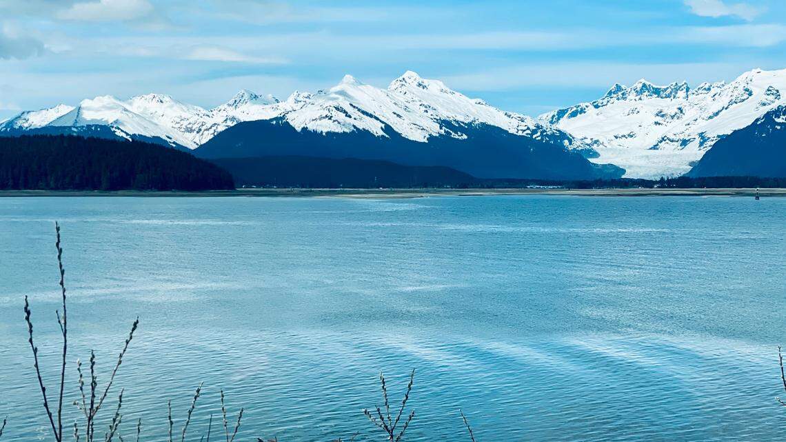 An entangled humpback whale was rescued near Glacier National Park in Alaska, officials said.