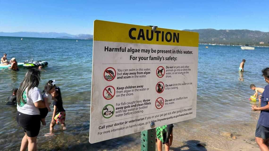 Lake Tahoe beaches tested for toxic blue-green algae bloom. Here’s how to spot it