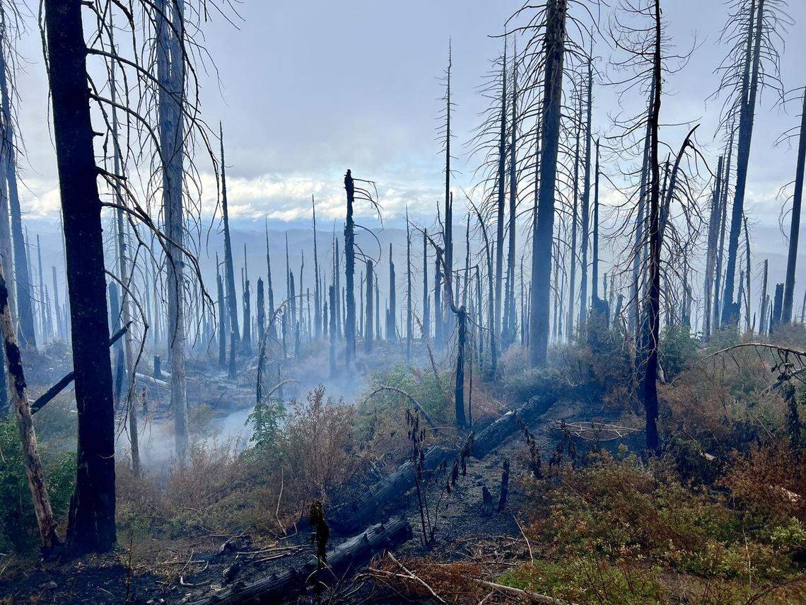 Aftermath of the South Fork Complex fire is shown in an undated photo in Humboldt County. The fire burned through about 4,000 acres and was 52% contained as of Sunday, Sept. 3, 2023.
