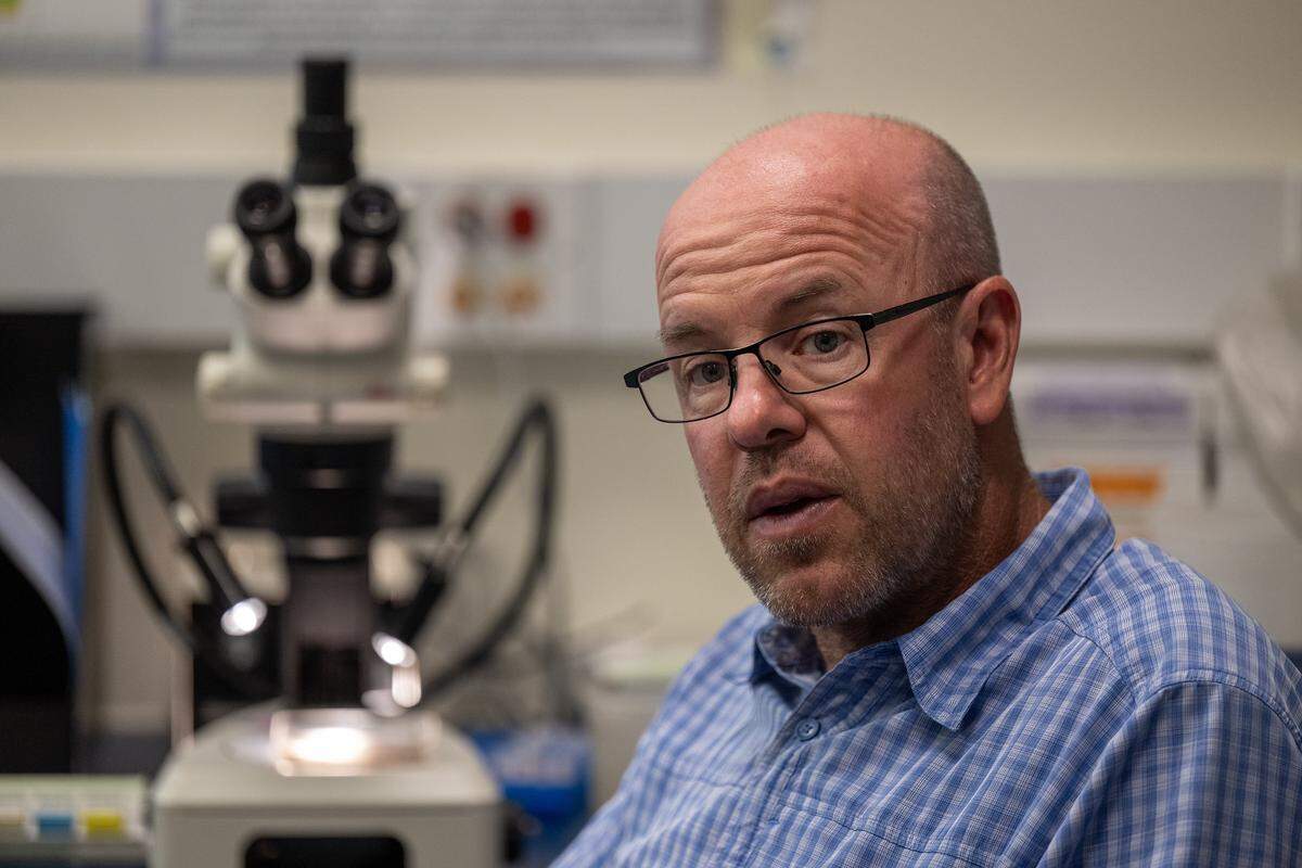 Carson Jeffres, researcher at the UC Davis Center for  Watershed Sciences, reconstructs the habitat salmon from different parts of the state at UC Davis in July. 