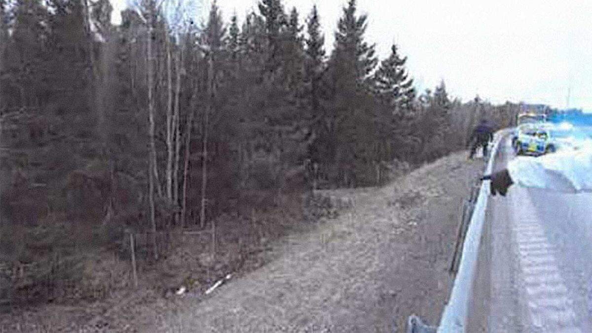 A forensic investigator points to a wooded area north of Stockholm, Sweden, where a man’s body was found stuffed inside a duffel bag after his throat was slashed. U.S. prosecutors are arguing on behalf of the Swedish government to extradite Afghan refugee Wajiha Korashi, the victim’s lover, who fled to the U.S. with her husband after the man’s killing.