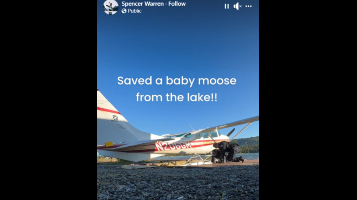 Rescuers saved a baby moose that was trapped in a lake in Alaska, video shows.