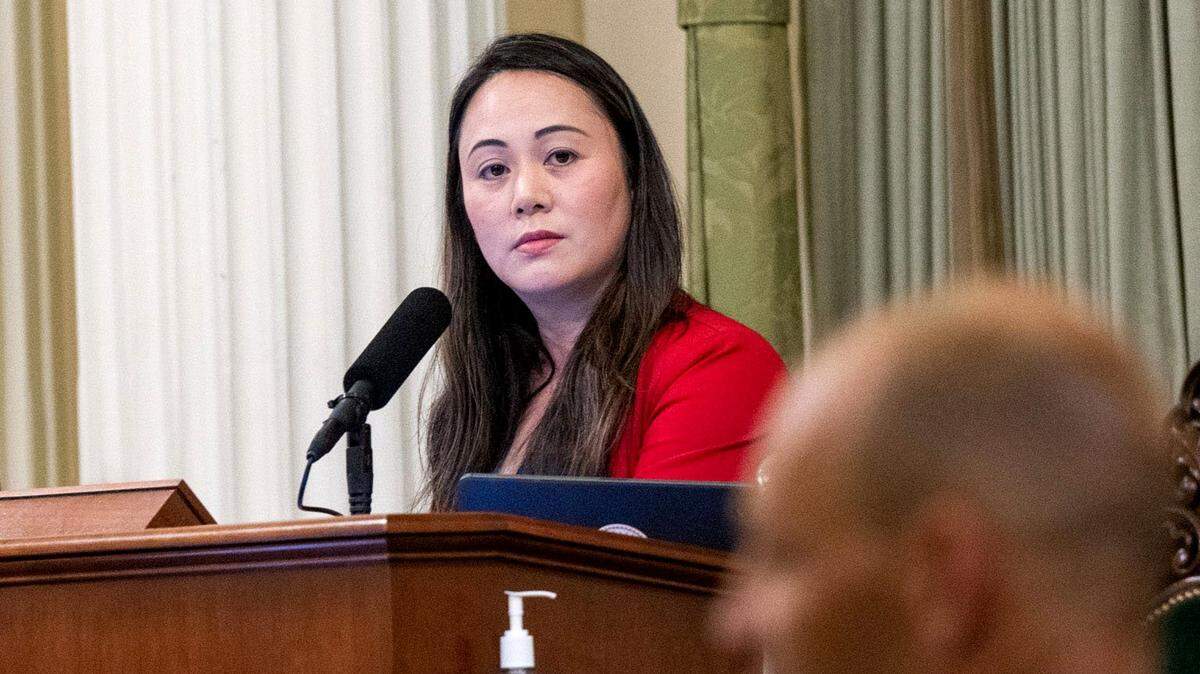 Assemblymember Stephanie Nguyen, D-Elk Grove, leads a session in 2023. She and Nick Schultz, D-Burbank, were put in charge of the controversial sex solicitation bill.
