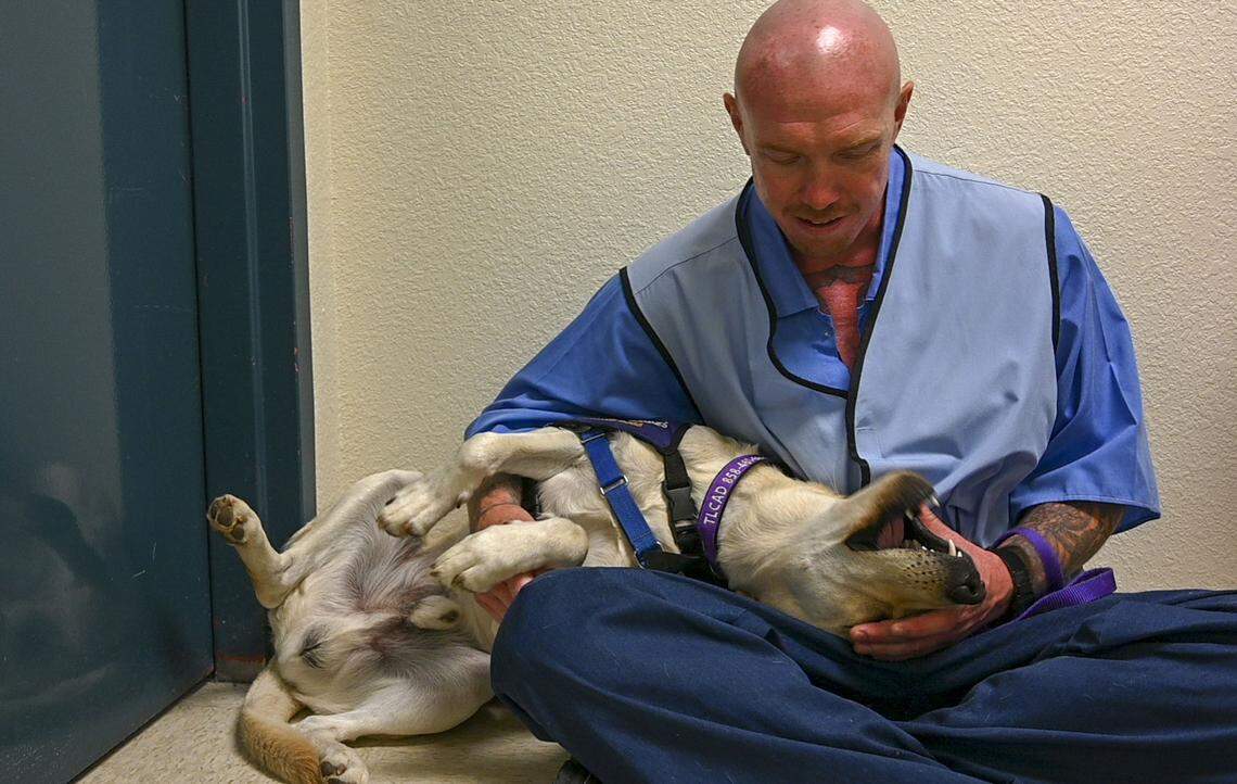 Joshua Thomas, a prisoner at Mule Creek State Prison gets some love from “Bolt” a service dog in training during a graduation ceremony for service dogs trained by inmates at Mule Creek State Prison, Friday, July 26, 2019.
