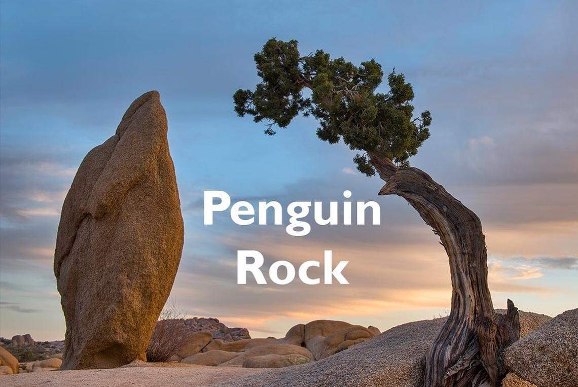 Penguin Rock at Joshua Tree National Park in California