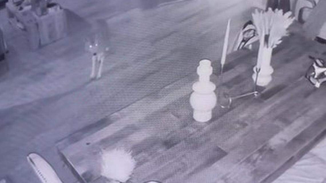 Home security video shows a coyote roaming a Woodland Hills home after entering through an open dog door, a California resident says.
