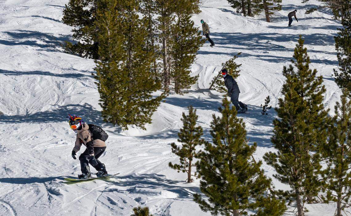 Four snowboarders make their way through trees on the Nevada side of Heavenly Mountain Resort earlier this month.