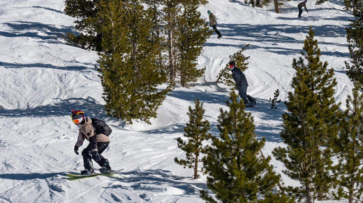 Four snowboarders make their way through trees on the Nevada side of Heavenly Mountain Resort on Friday, Feb. 10, 2023.  