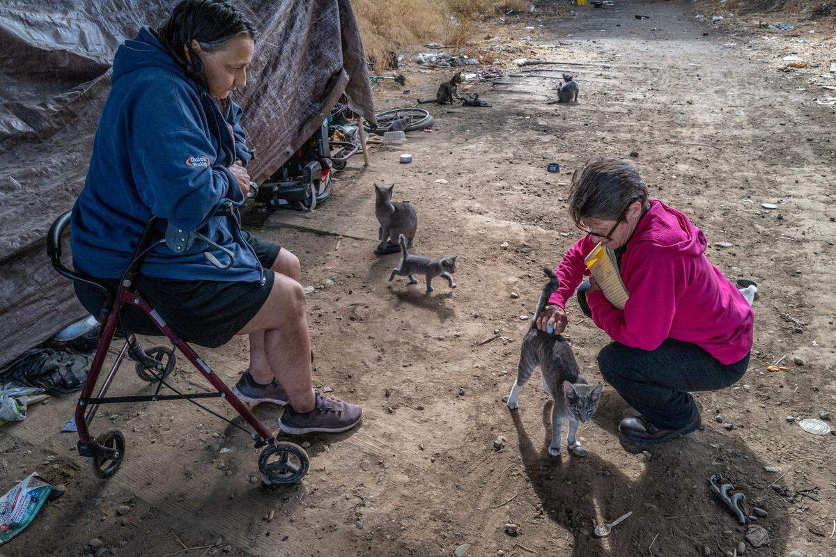 Tracey Knickerbocker pets one of many cats belonging to Lily Marshall, 52, left, while visiting a homeless camp near where Knickerbocker used to live when she was homeless over 10 years ago. Marshall, who is partially disabled and facing several medical issues, said no outreach workers had ever come out to help her.