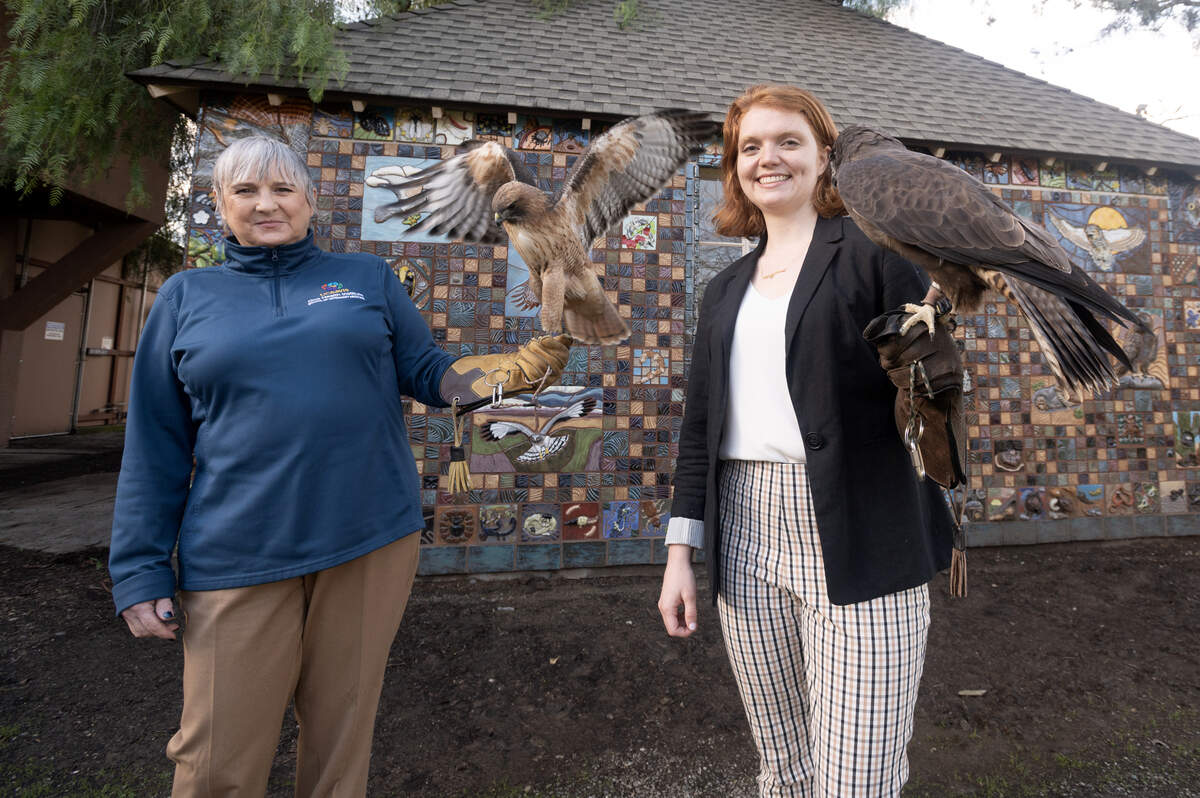 Christina Harvey, right, an assistant professor in the Department of Mechanical and Aerospace Engineering at UC Davis, and Michelle Hawkins, a professor in the School of Veterinary Medicine, and director of the California Raptor Center, will be working together.