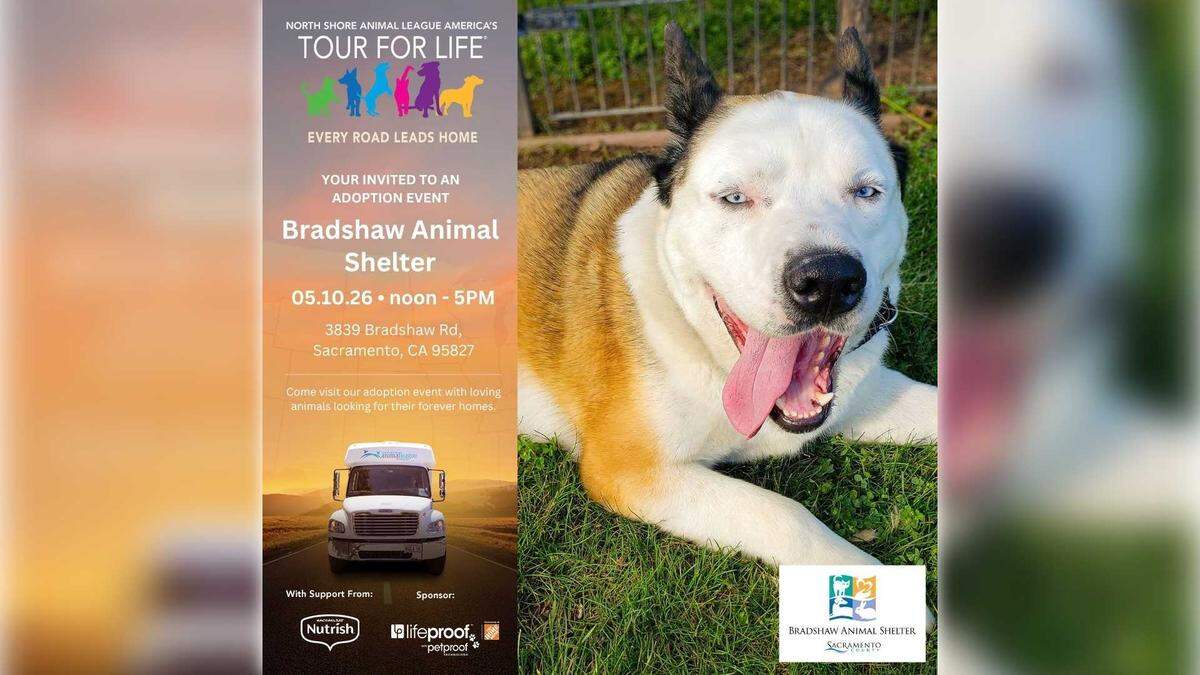 Bradshaw Animal Shelter is teaming up with Tour for Life for a large adoption event on May 10 in Sacramento and Folsom.
