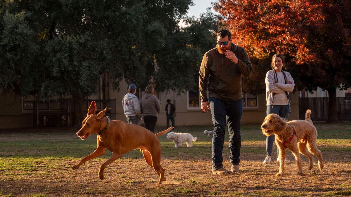 Sacramento to host open house on plan to add a dog park to one of these iconic neighborhoods