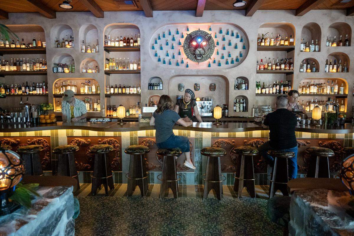 The shelves behind the bar at Day Tripper in midtown Sacramento on Wednesday, May 27, 2026, feature an array of different types of liquor.