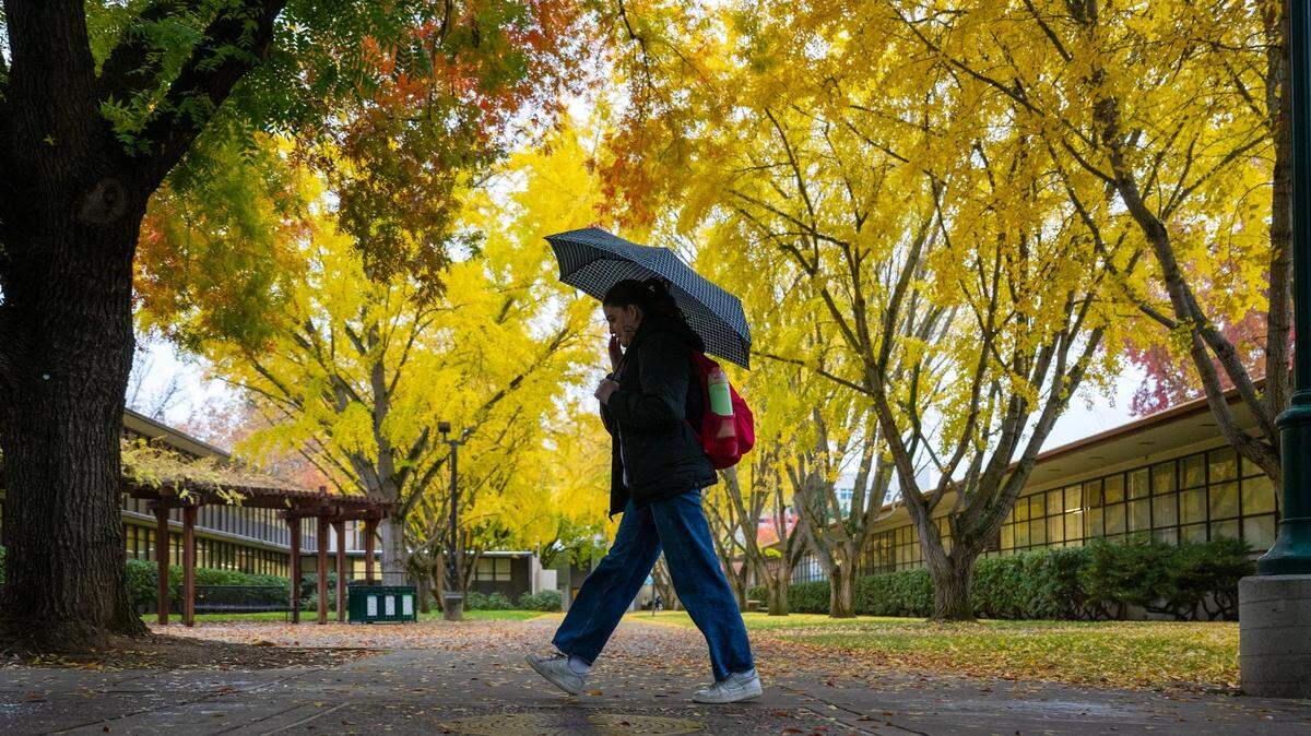 Student Rebecca Seasick walks through the rain on the campus at Sacramento State on Nov. 21, 2024.