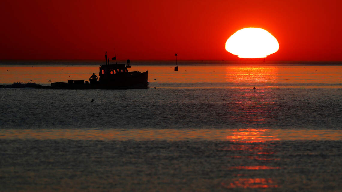Want to combat climate change? Take care of our oceans