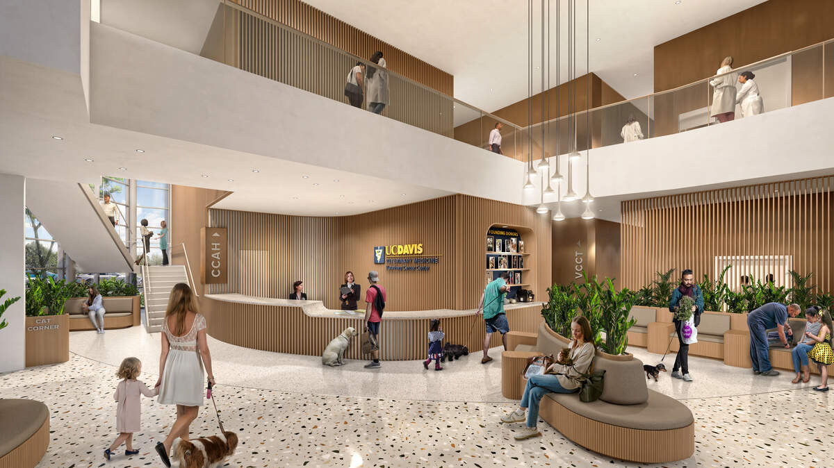 This architect’s rendering shows the lobby of the planned cancer center at the UC Davis School of Veterinary Medicine.