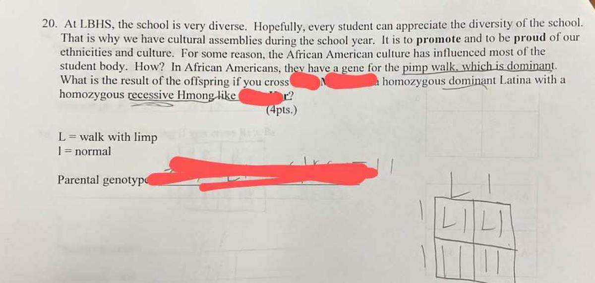 This test question appeared on a Luther Burbank High School biology final in June 2024. Student names were obscured by the sources who provided the images to the Sacramento Bee. The question reads: “At LBHS, the school is very diverse. Hopefully, every student can appreciate the diversity of the school. That is why we have cultural assemblies during the school year. It is to promote and to be proud of our ethnicities and culture. For some reason, the African American culture has influenced most of the student body. How? In African Americans, they have a gene for the pimp walk, which is dominant. What is the result if you cross (student name) homozygous dominant Latina with a homozygous recessive Hmong like (student name)?”