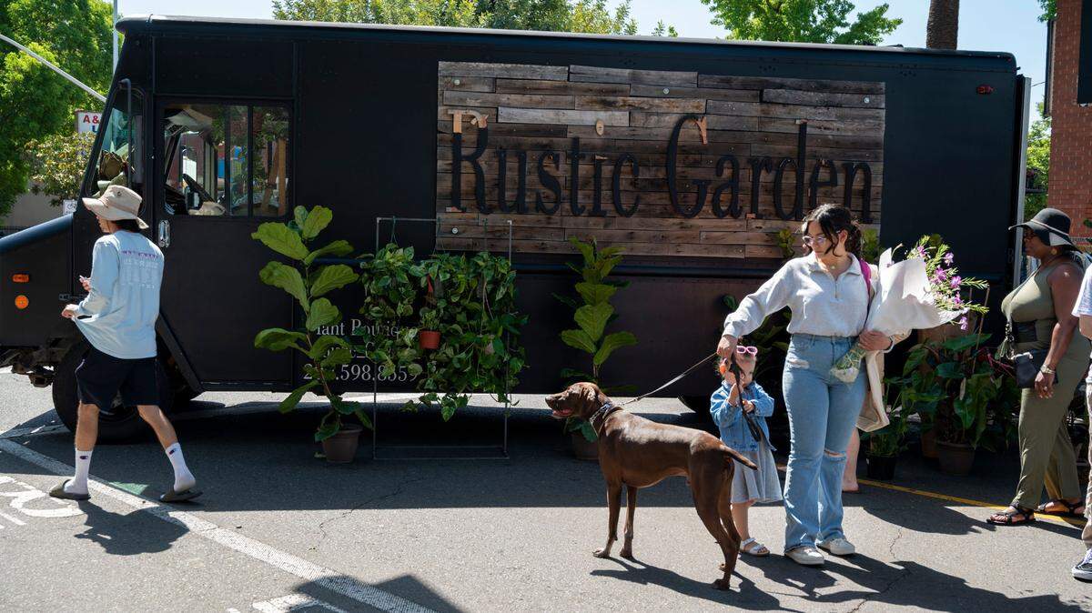 Is it OK if I bring my dog to the farmers market? Here’s what California law allows