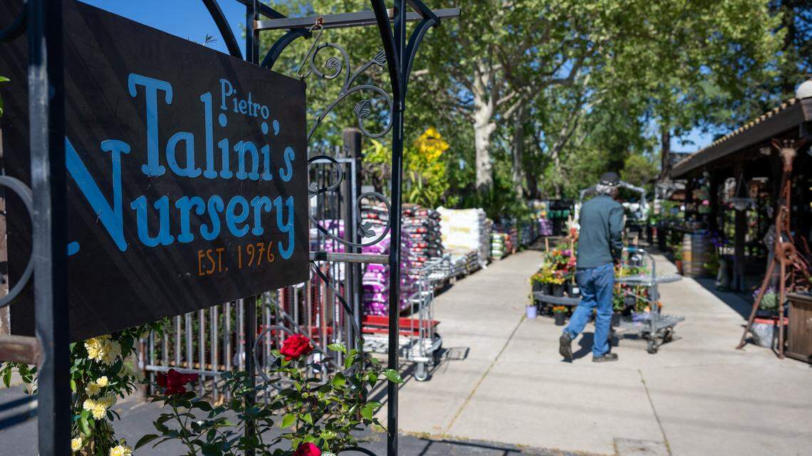 East Sac plant shop celebrates 50 years. Meet family behind Little Italy anchor