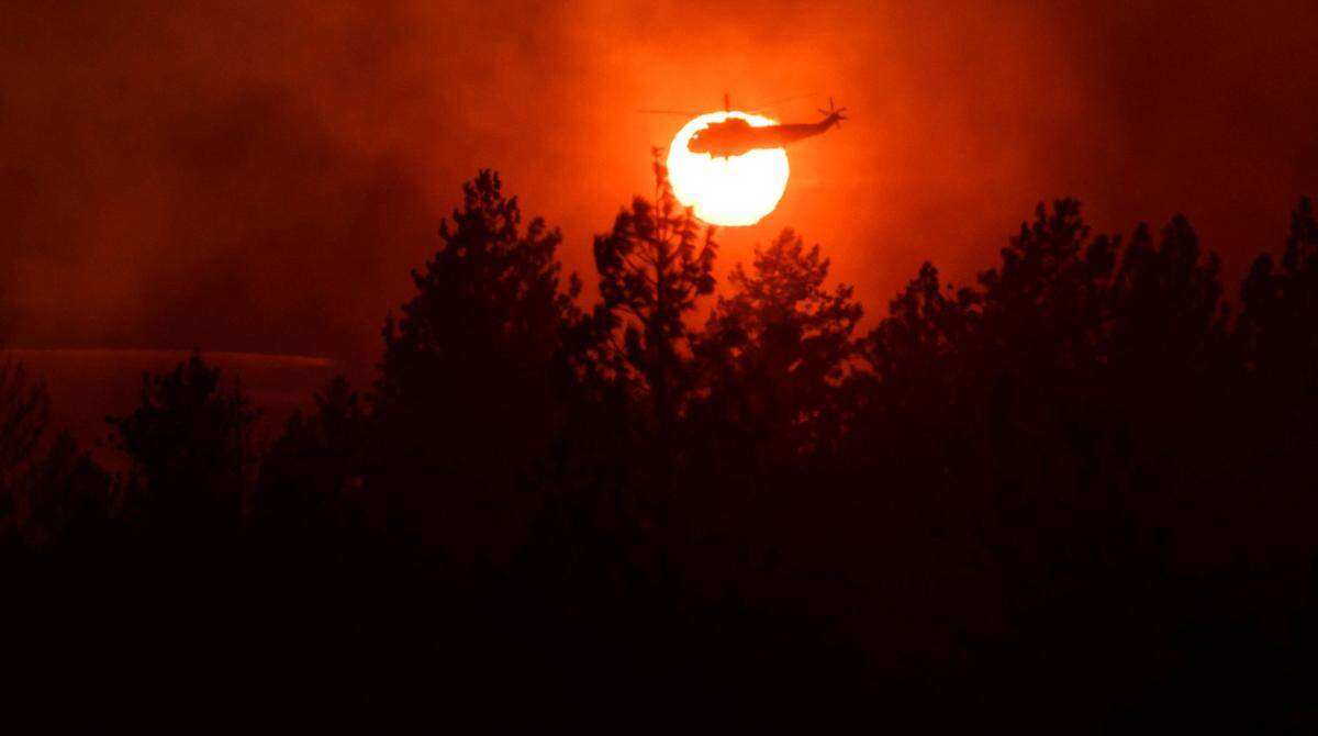 A helicopter flies over trees near Foresthill as the sun sets as firefighters defend the community from the Mosquito Fire on Tuesday evening, Sept. 13, 2022.